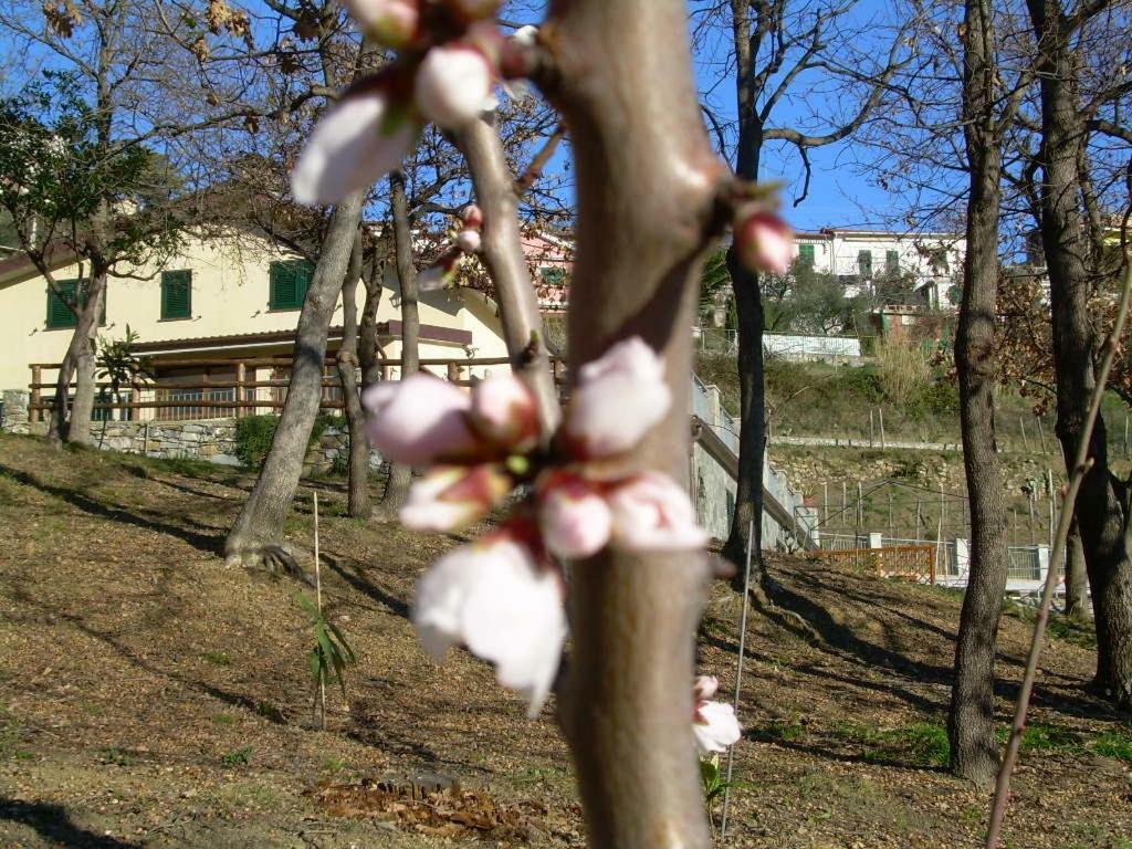 Ariabuona Lägenhet Moneglia Exteriör bild