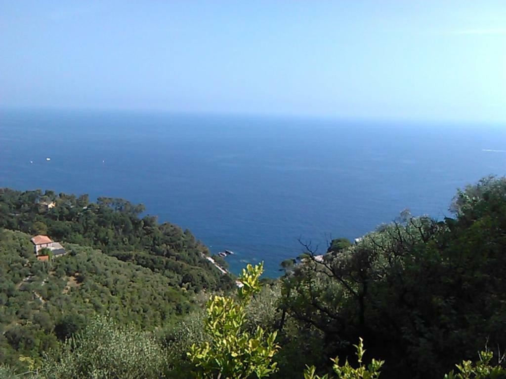 Ariabuona Lägenhet Moneglia Exteriör bild