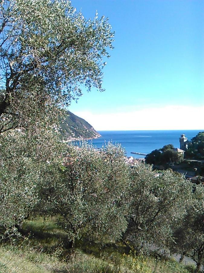 Ariabuona Lägenhet Moneglia Exteriör bild